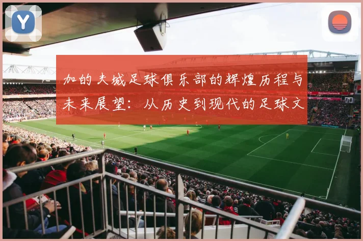 加的夫城足球俱乐部的辉煌历程与未来展望：从历史到现代的足球文化传承