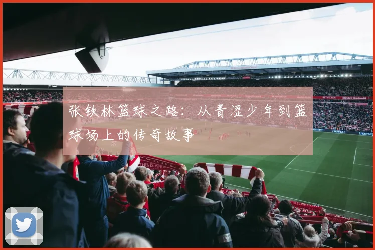 张铁林篮球之路：从青涩少年到篮球场上的传奇故事